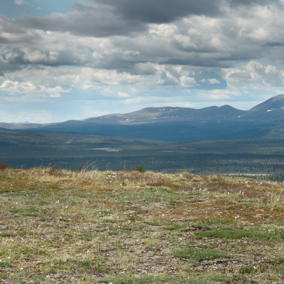 Alaska Project